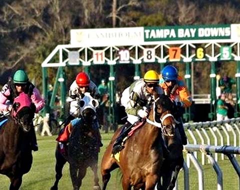 People riding courses