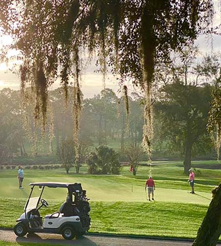 A golf cart on a golf course