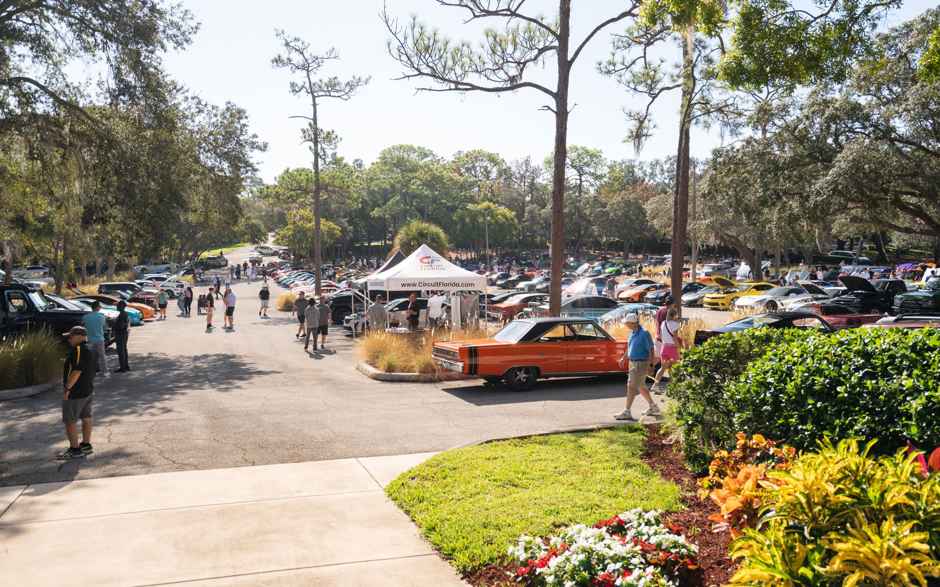 A shot of the parking lot full of sports cars