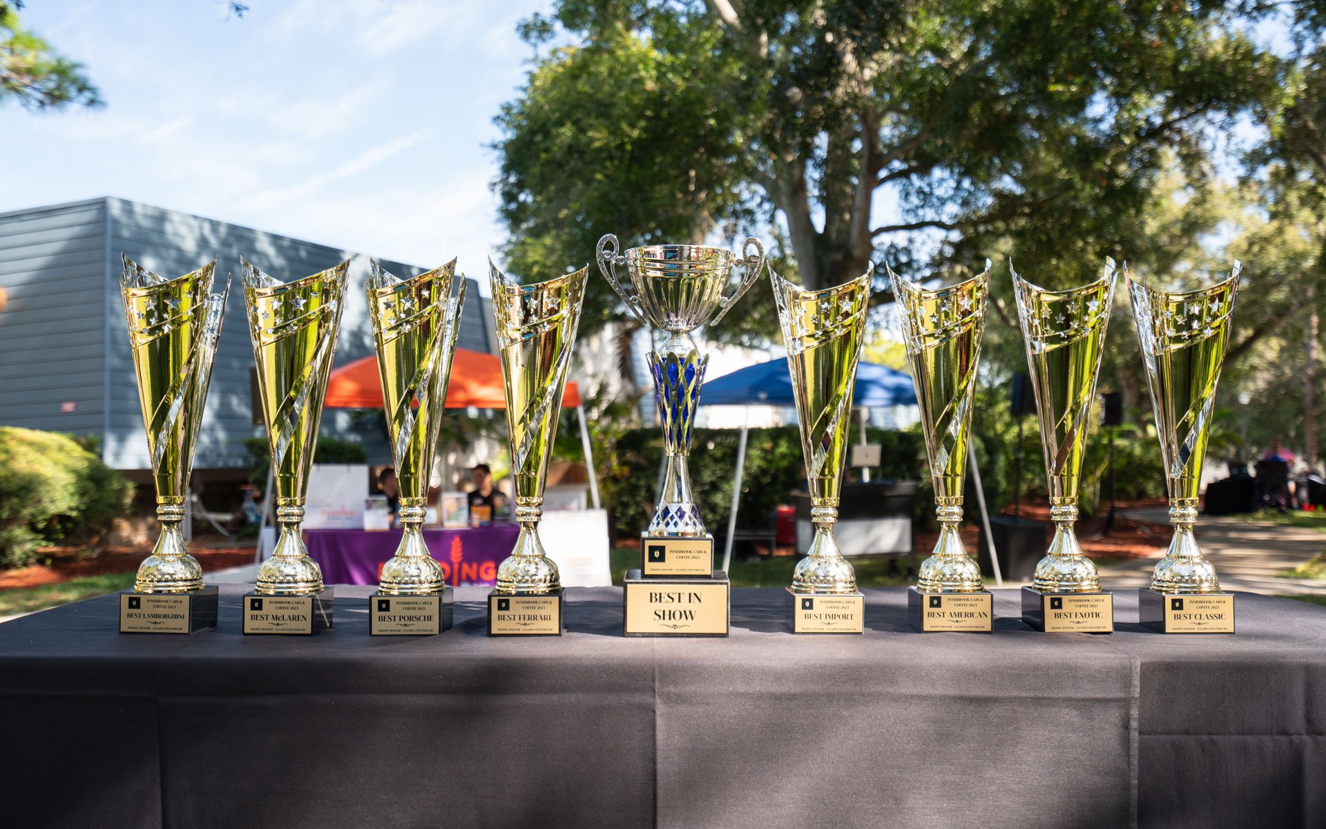 A lineup of trophies