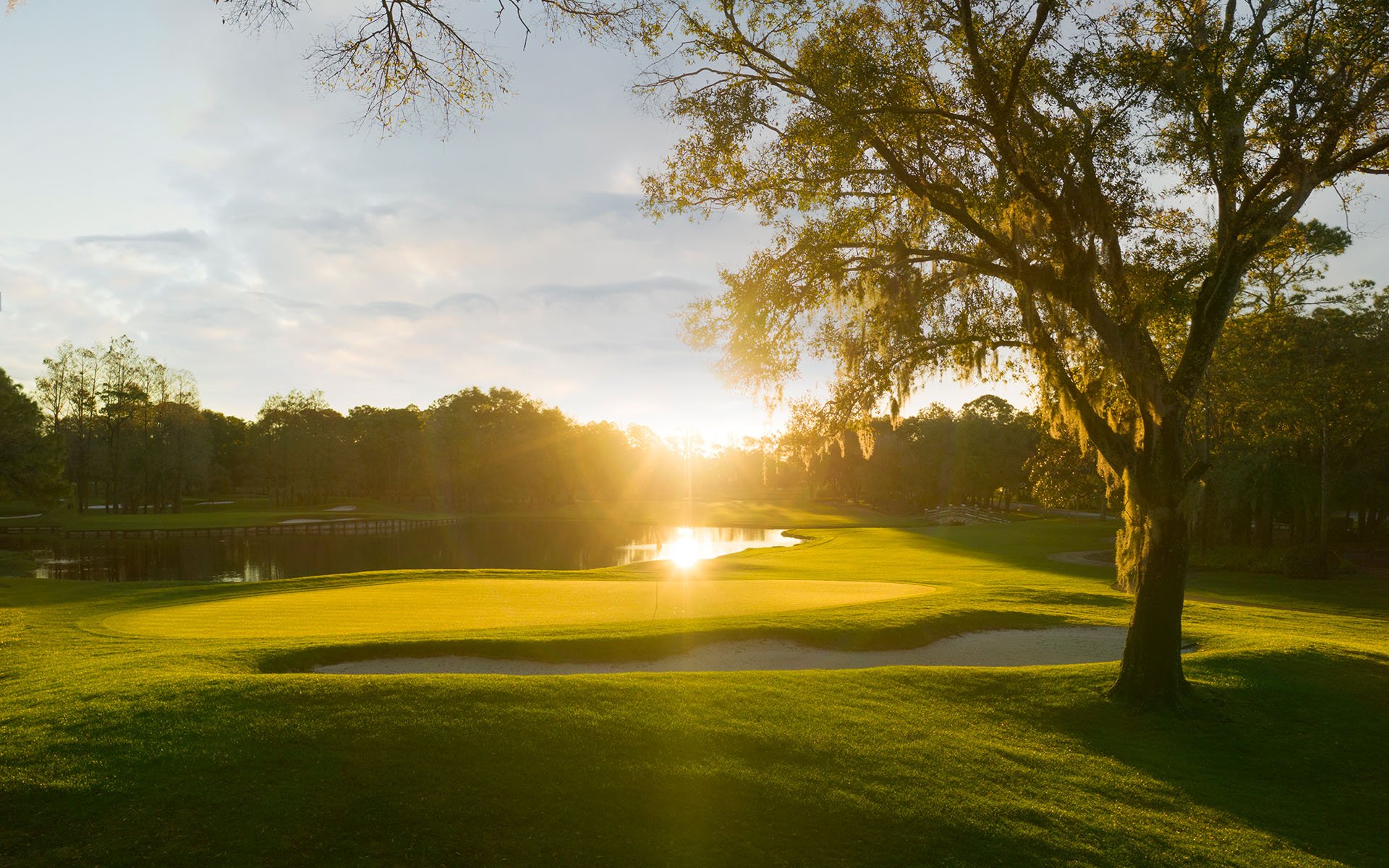 The golf course during sunset