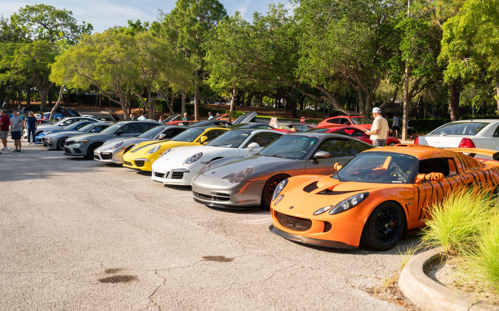 Luxury cars lined up in one row