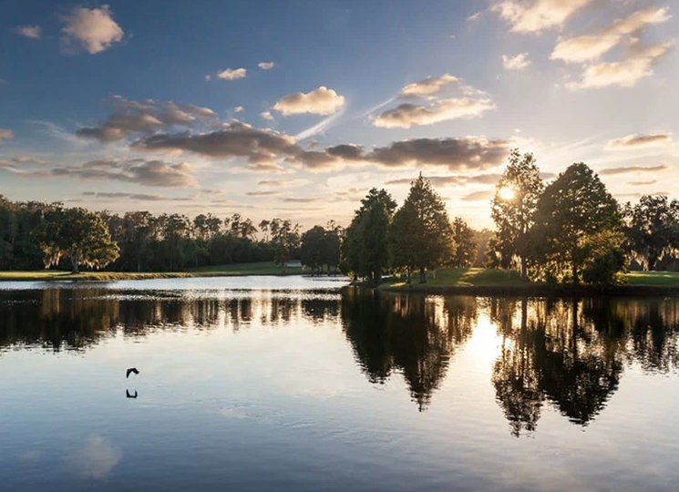 scenic golf course at Innisbrook Resort