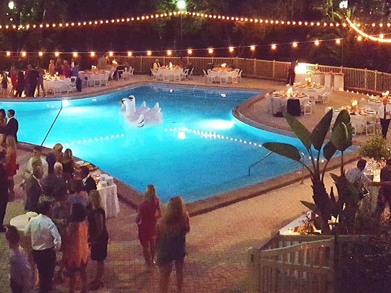 A pool with swan floaties in it