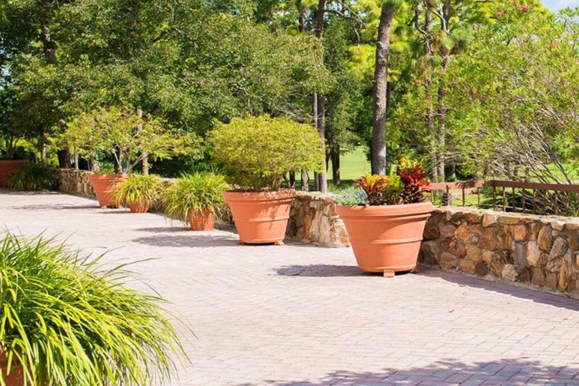 A terrace with pots of plants 