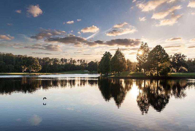 a bird flying over the lake