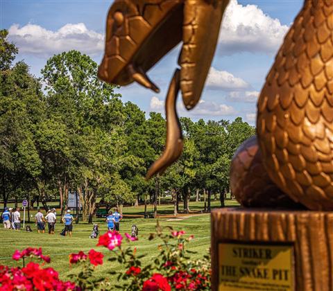 A statue of a snake with the golf course in the background