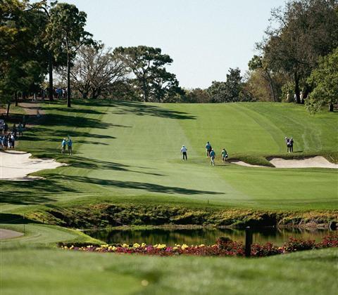 People on a golf course