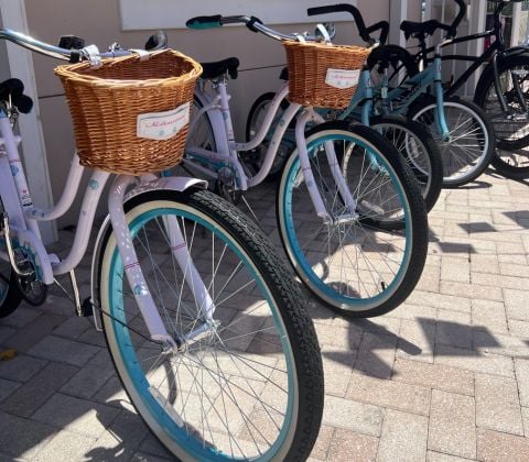 bike shot of handle bars and basket