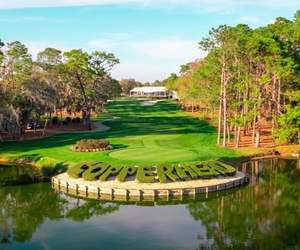 Hole 17 of the Copperhead Course