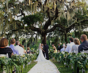 Wedding couple having an outdoor ceremony with guests in a split aisle setup