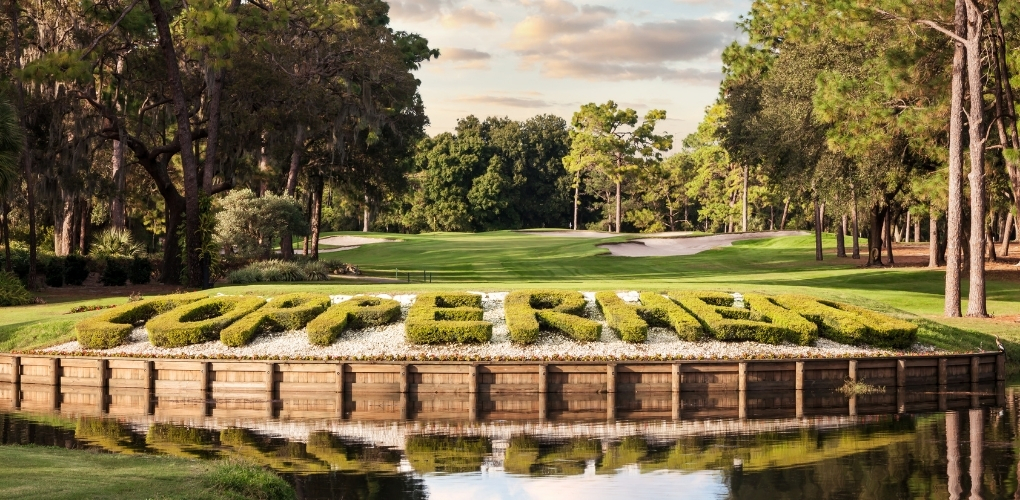 Copperhead Hedges on Hole 17