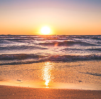 Honeymoon Island Beach Shuttle