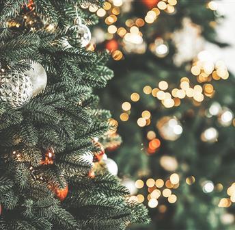 Christmas Eve Dinner Specials at Market Salamander Grille
