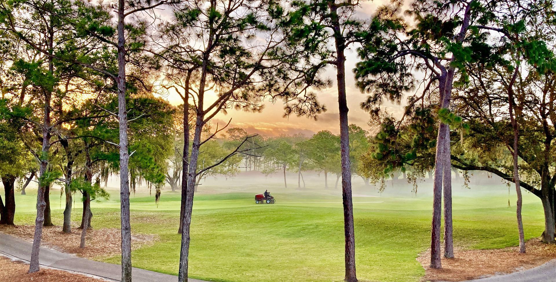 A man mowing the lawn