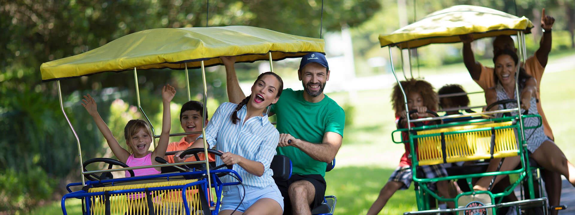 family in driving carts driving around