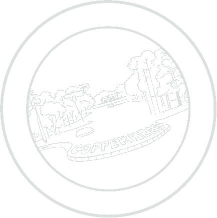 Aspen Meadows Salamander Collection
